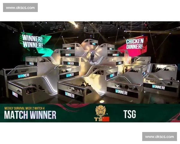 TSG战队选手赛后采访：跌宕起伏的比赛，他们如何走出阴影